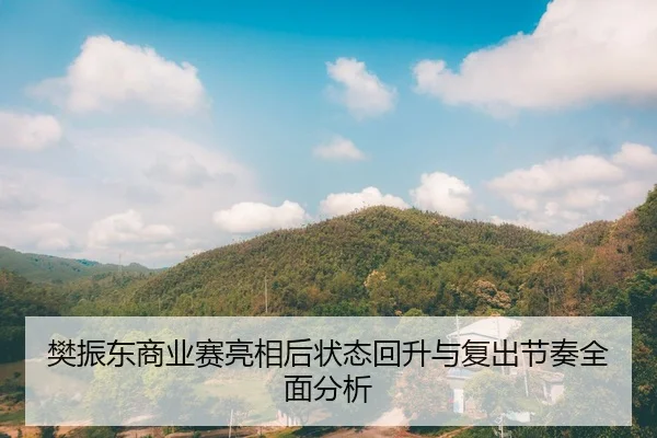 樊振东商业赛亮相后状态回升与复出节奏全面分析